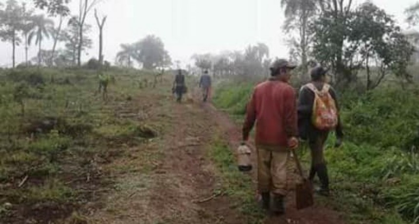Brigada Solidaria: El Campesinado y las Organizaciones Sindicales ante La  Concentración y Centralización del Capital.