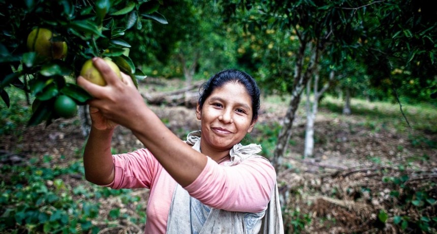 El derecho a la tierra alcanza solo al 26% de las campesinas latinoamericanas