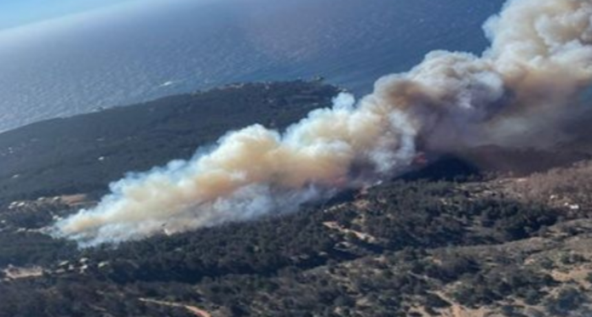 Declaran alerta roja en comunas chilenas por incendios forestales  