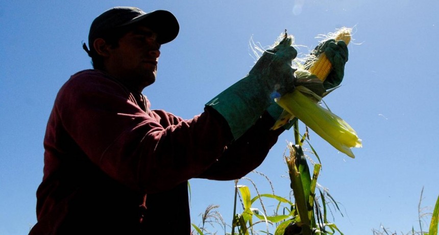 La tierra para quién y para qué, el debate pendiente