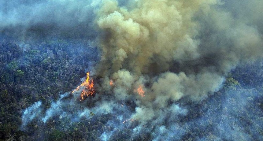 Hubo deforestación récord en el Amazonas durante el último año de gobierno de Bolsonaro