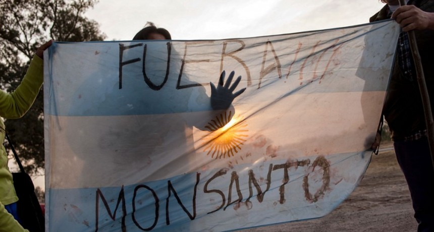 De director de Syngenta a asesor presidencial: modelo extractivo, memoria, verdad y justicia