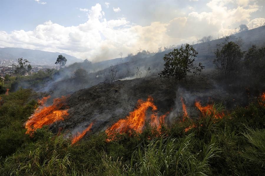 Más de 6.000 incendios forestales afectaron 216.000 hectáreas en 2024