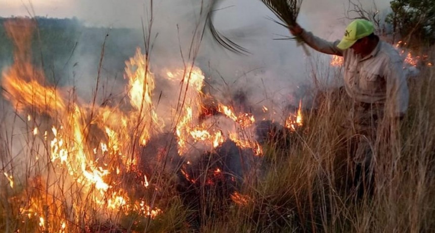 Incendios en Corrientes: sequía, cambio climático y desidia política