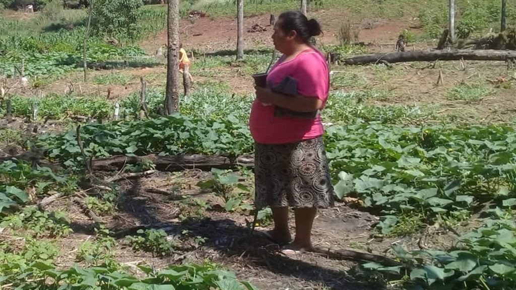 Sonia Lemos, protagonismo femenino en la lucha por el cuidado y el acceso a la Tierra