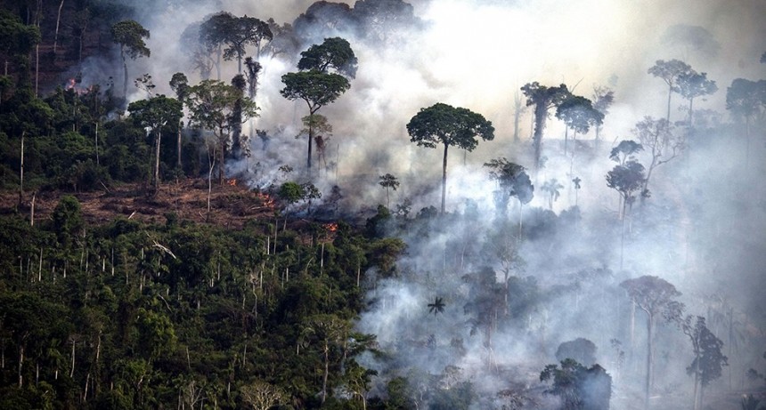 Nuevo récord en la deforestación de la Amazonia brasileña