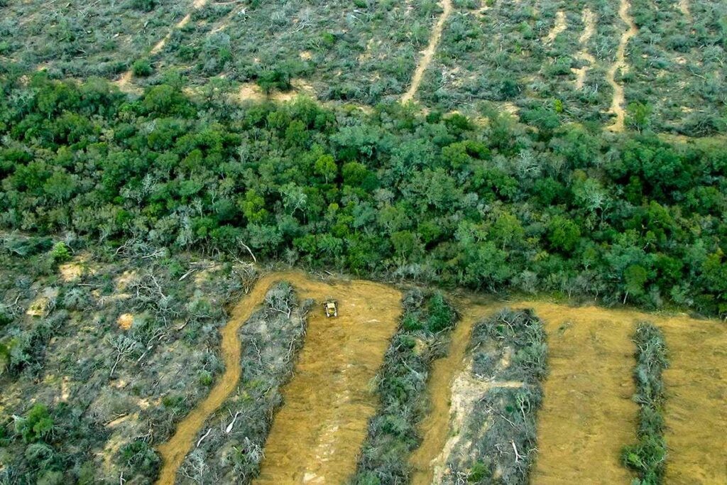 No es otra ola de calor, el país hierve en su modelo productivo marzo 14, 2023