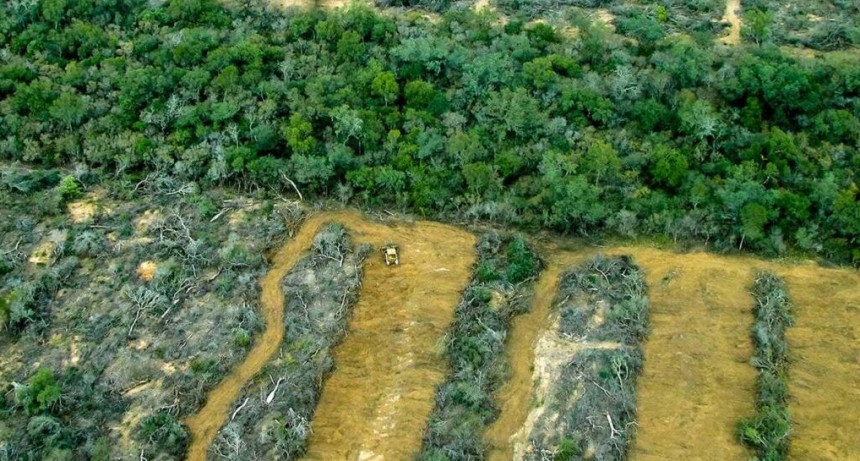 No es otra ola de calor, el país hierve en su modelo productivo marzo 14, 2023