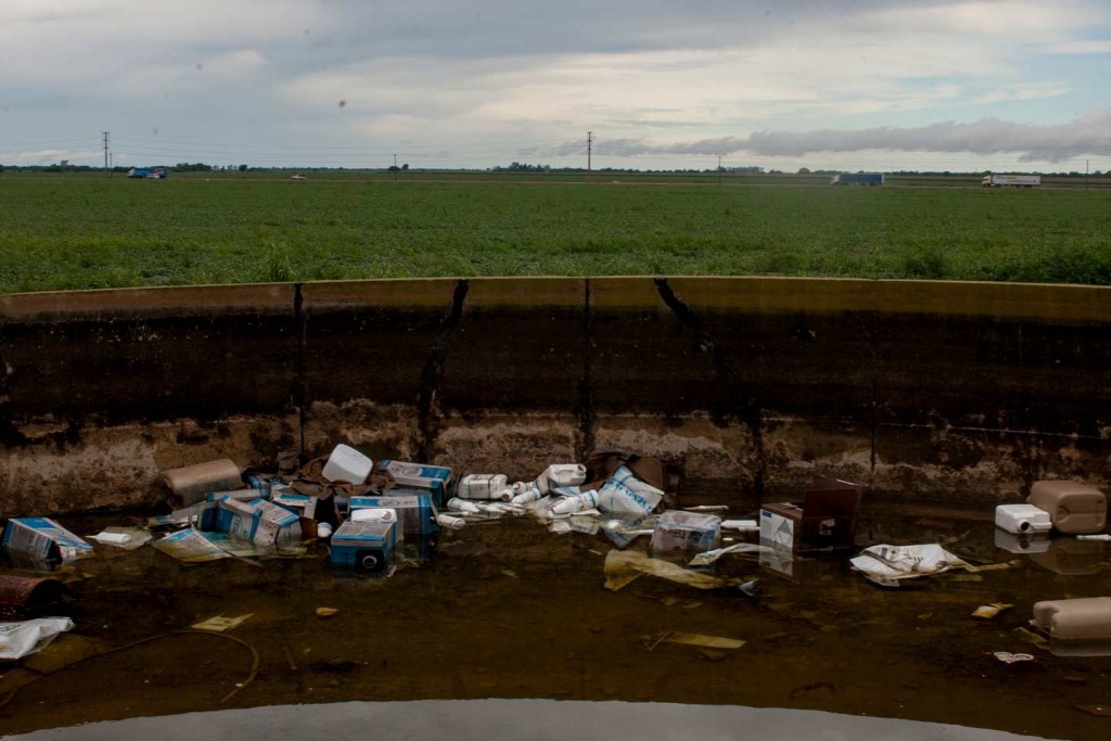 Dengue, cambio climático y monocultivo: tres caras de un mismo problema