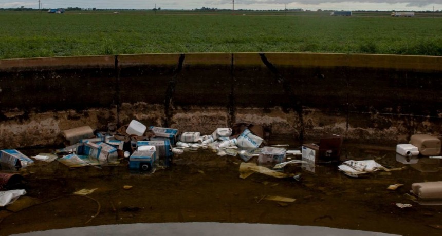 Dengue, cambio climático y monocultivo: tres caras de un mismo problema