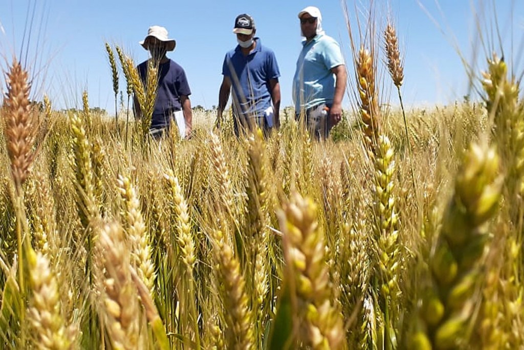 “La agroecología es una forma diferente de pensar la ruralidad, con vida en los campos” 