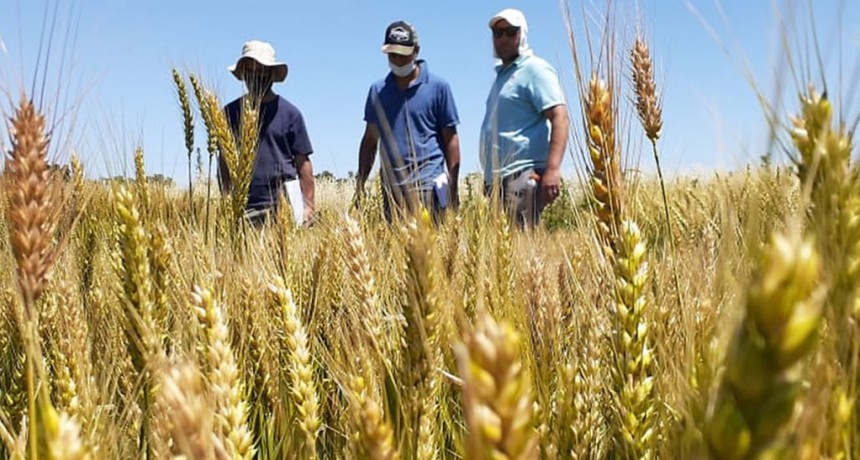 “La agroecología es una forma diferente de pensar la ruralidad, con vida en los campos” 