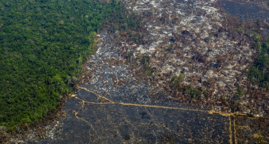 La Amazonia brasileña registró una deforestación récord en el mes de abril