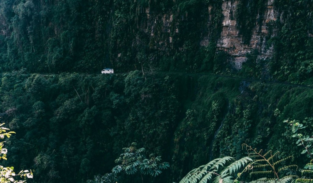 Bolivia ocupa el segundo lugar en pérdida de bosques primarios en el mundo