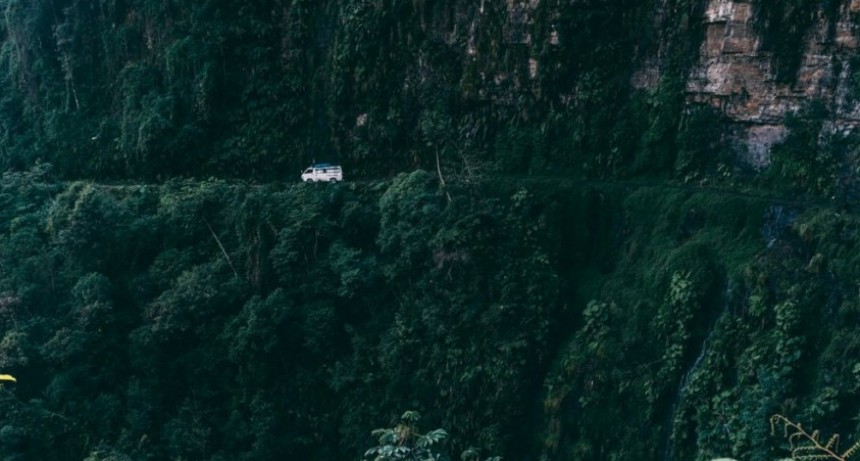 Bolivia ocupa el segundo lugar en pérdida de bosques primarios en el mundo