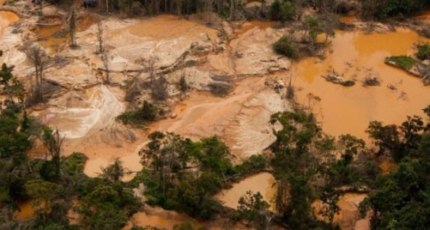 ONG denuncian la falta de políticas públicas efectivas para abordar la “crisis ambiental”