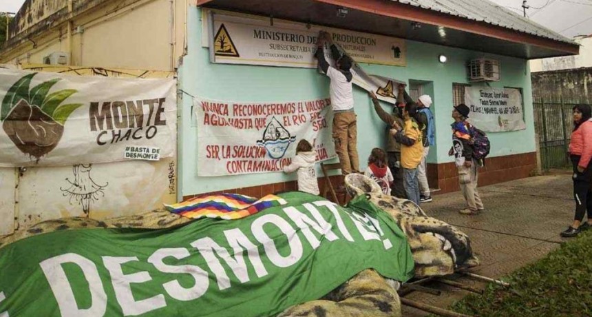 La mafia del desmonte avanza con la complicidad de los diputados en Chaco