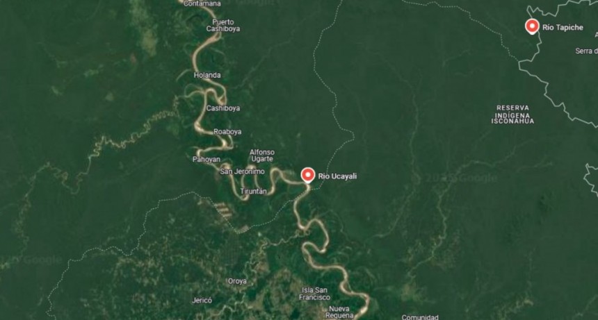 Deforestación origina pérdida de más del 70% de la Amazonía peruana