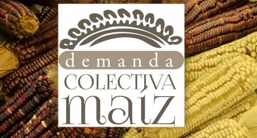 DEMANDA COLECTIVA MAÍZ