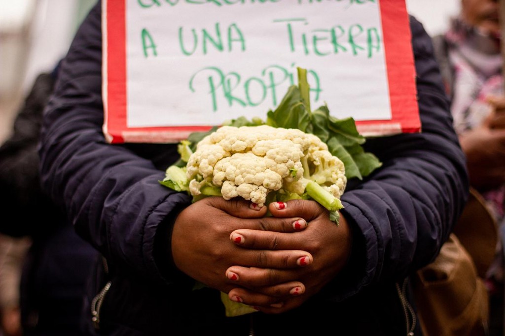 “La Ley de Agricultura Familiar y el acceso a la tierra son las grandes deudas de este Gobierno”
