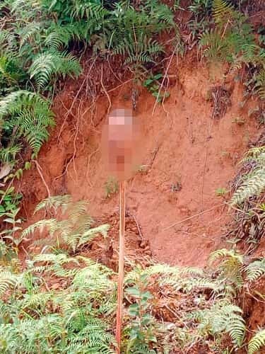 ¡Aterrador! Joven fue decapitado y su cabeza puesta en una estaca. AGC serían responsables; ocurrió en El Bagre
