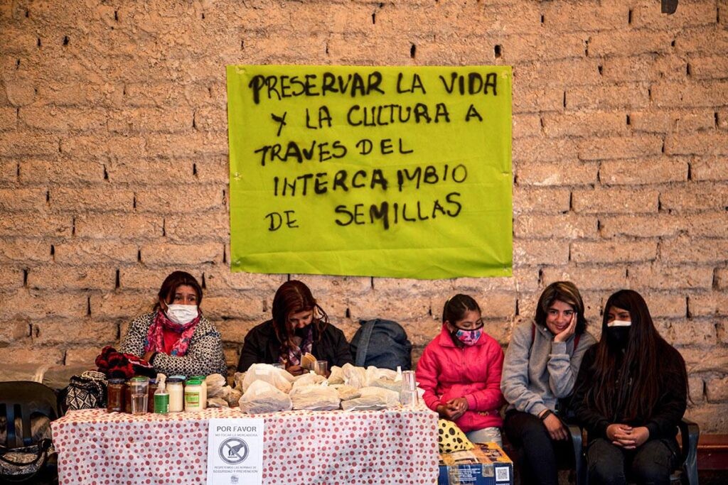Catamarca: 20 años de la feria de semillas nativas y criollas