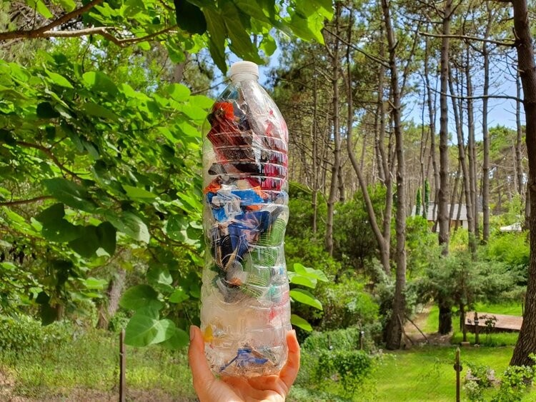 Ecointensa: Sustentabilidad versus sostenibilidad