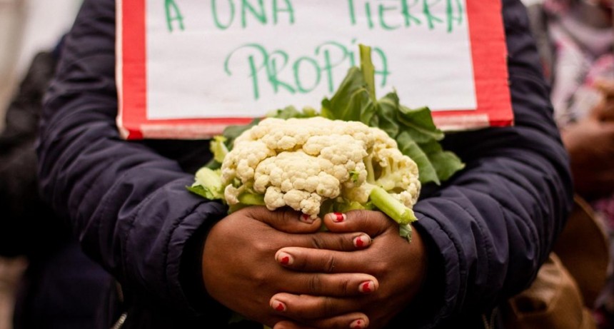 “La Ley de Agricultura Familiar y el acceso a la tierra son las grandes deudas de este Gobierno”
