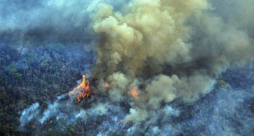 Un récord en 12 años: la Amazonia brasileña registró 33.316 focos de incendio en agosto