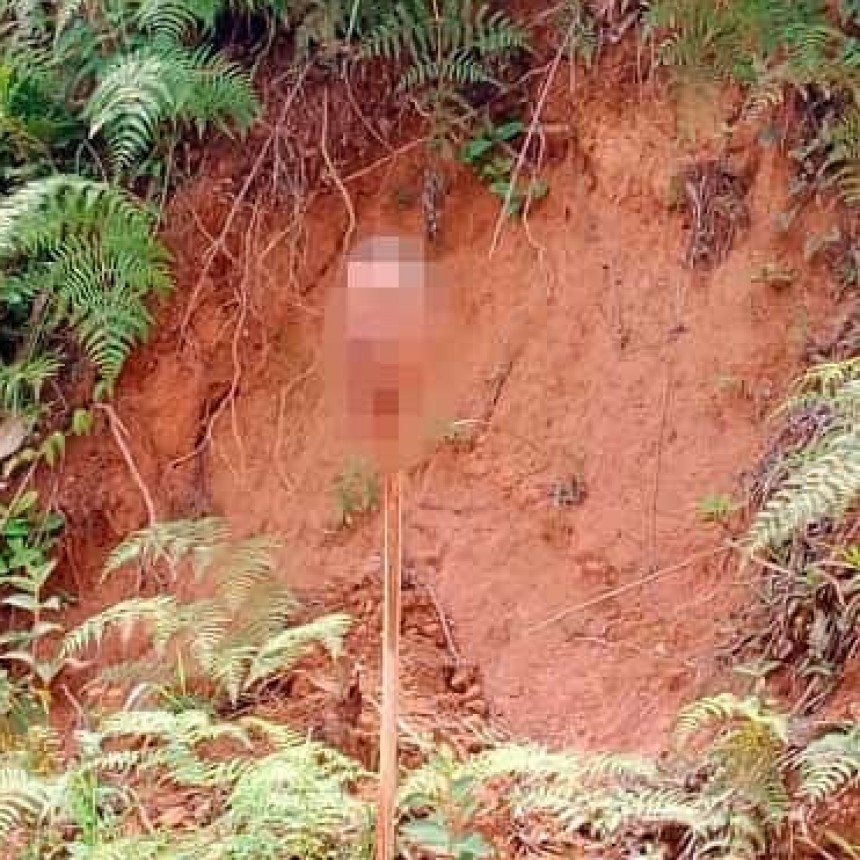 ¡Aterrador! Joven fue decapitado y su cabeza puesta en una estaca. AGC serían responsables; ocurrió en El Bagre