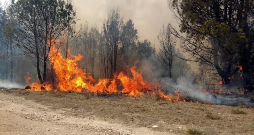Los incendios forestales no dan respiro en el valle de Punilla de Córdoba