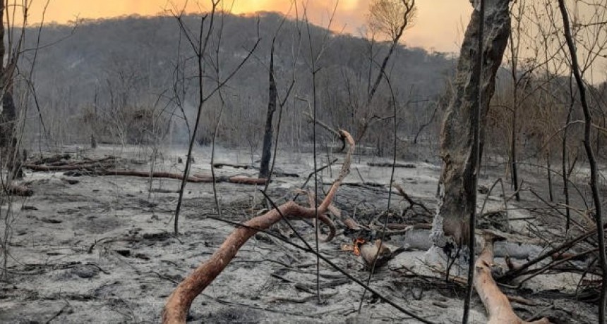 Ascienden a 4.000 las hectáreas arrasadas por el incendio en las Yungas