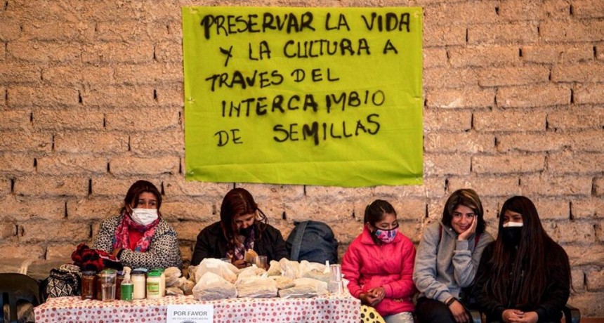 Catamarca: 20 años de la feria de semillas nativas y criollas