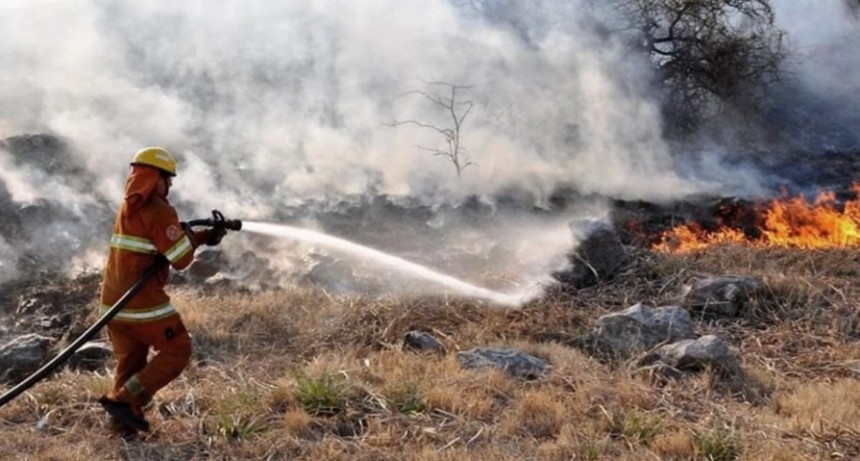 Ocho provincias registran focos activos de incendios forestales