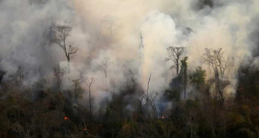 Brigadistas luchan contra el fuego en las yungas del Parque Nacional Calilegua