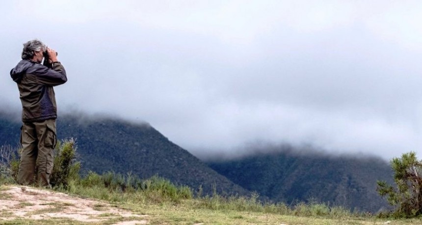 CAMBIO CLIMÁTICO: LAS AVES ESTÁN AVISANDO