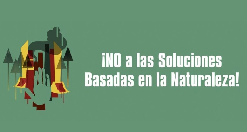 Movimiento sociales rechazan las falsas soluciones “basadas en la naturaleza” propuestas en la COP26