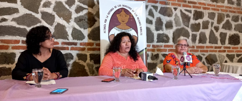 Derechos de mujeres rurales, indígenas y campesinas están siendo violentados