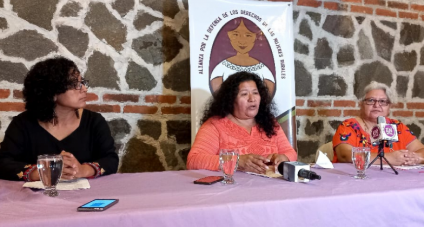 Derechos de mujeres rurales, indígenas y campesinas están siendo violentados