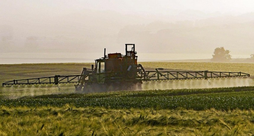 El máximo tribunal de Santa Fe ratificó 1000 metros libres de agrotóxicos
