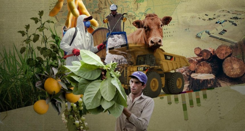 Salta: matriz colonial, agronegocio, desmontes y mucha tierra en pocas manos